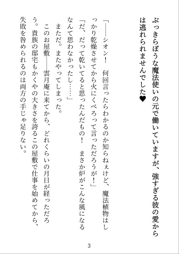 「【魔法使い夜話】ぶっきらぼうな魔法使いの元で働いていますが、強すぎる彼の愛からは逃れられませんでした」のサンプル画像2