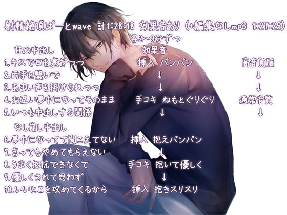 「日常的な性関係 音声 ~中出し連続34回1時間28分,そんな聞かない男性の絶頂の喘ぎ声~」のサンプル画像2